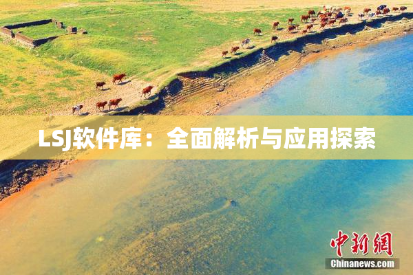 LSJ软件库：全面解析与应用探索