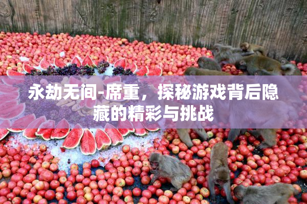 永劫无间-席重，探秘游戏背后隐藏的精彩与挑战