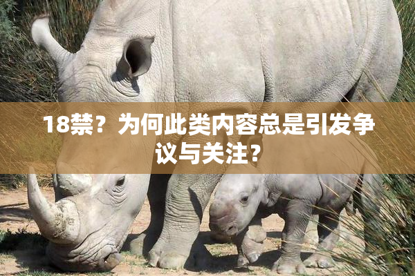18禁？为何此类内容总是引发争议与关注？