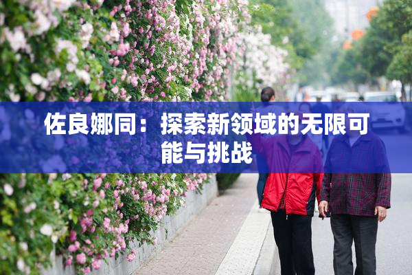佐良娜同：探索新领域的无限可能与挑战