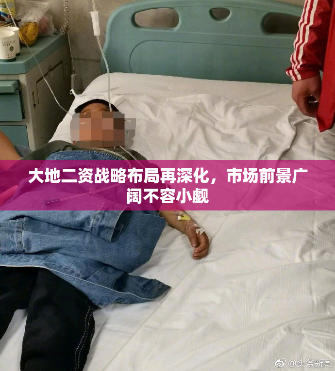 大地二资战略布局再深化，市场前景广阔不容小觑