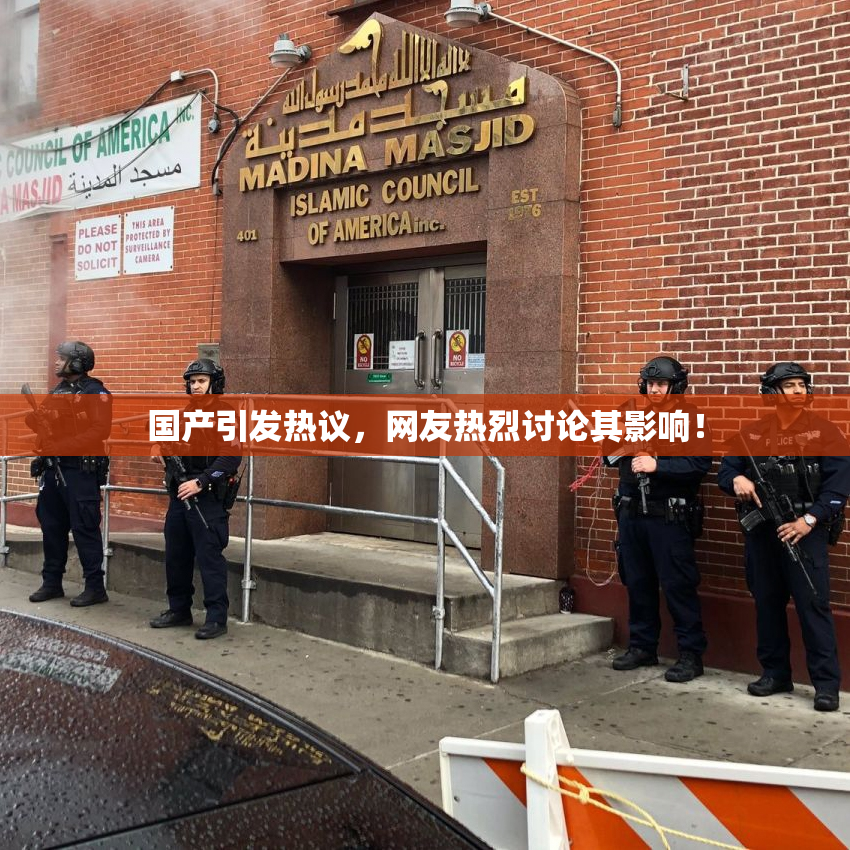 国产引发热议，网友热烈讨论其影响！