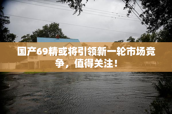 国产69精或将引领新一轮市场竞争，值得关注！
