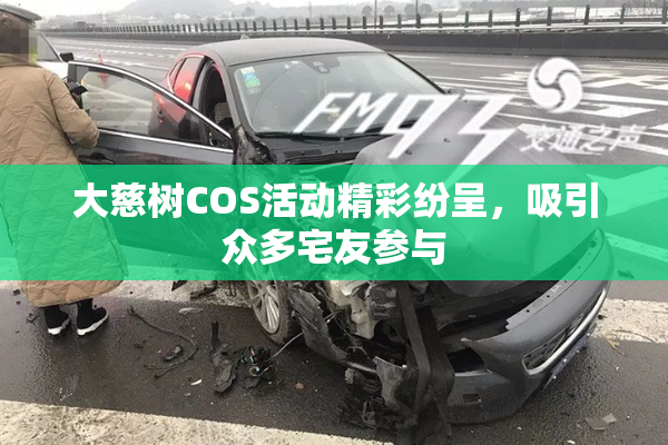 大慈树COS活动精彩纷呈，吸引众多宅友参与