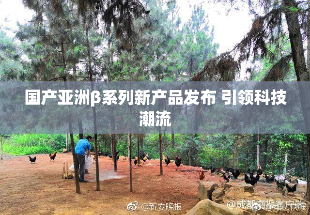 国产亚洲β系列新产品发布 引领科技潮流
