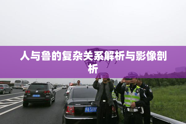 人与鲁的复杂关系解析与影像剖析