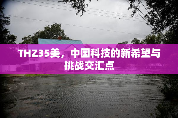 THZ35美，中国科技的新希望与挑战交汇点