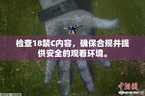 检查18禁C内容，确保合规并提供安全的观看环境。