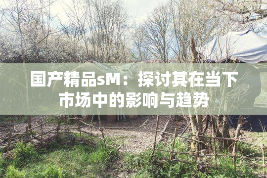 国产精品sM：探讨其在当下市场中的影响与趋势