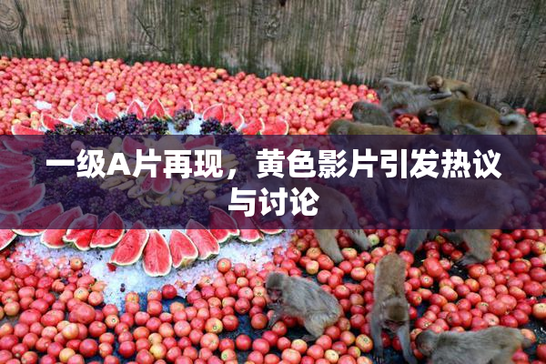 一级A片再现，黄色影片引发热议与讨论