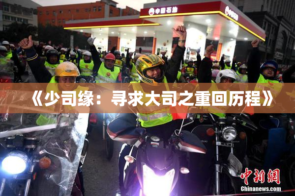 《少司缘：寻求大司之重回历程》
