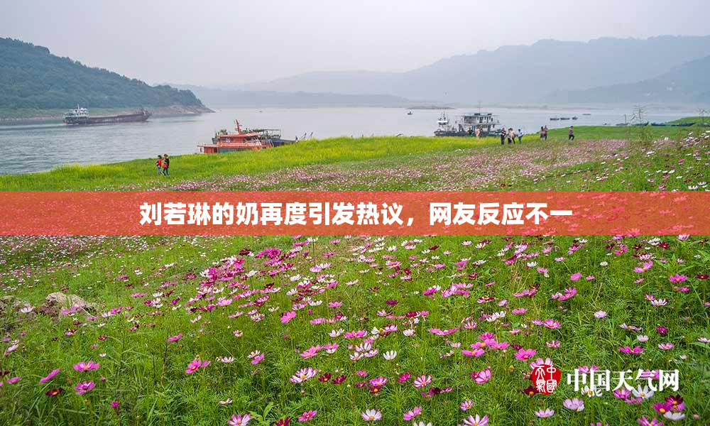 刘若琳的奶再度引发热议，网友反应不一