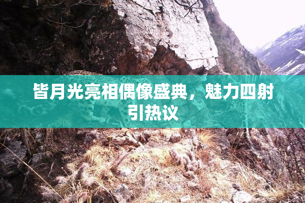 皆月光亮相偶像盛典，魅力四射引热议