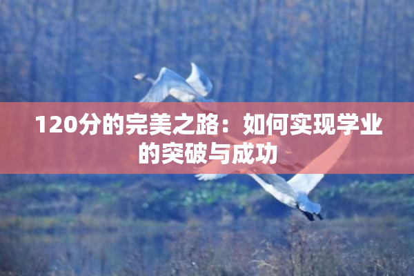 120分的完美之路：如何实现学业的突破与成功