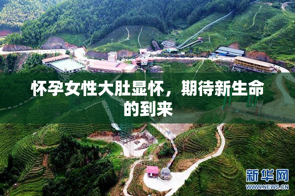 怀孕女性大肚显怀，期待新生命的到来