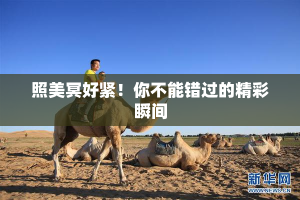照美冥好紧！你不能错过的精彩瞬间