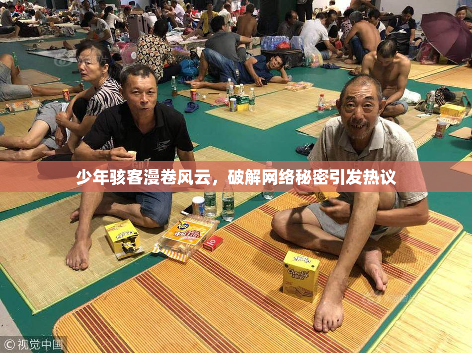 少年骇客漫卷风云，破解网络秘密引发热议