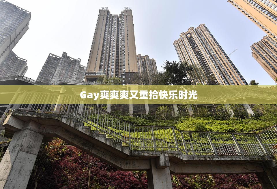 Gay爽爽爽又重拾快乐时光