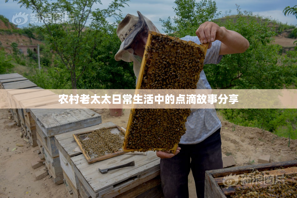 农村老太太日常生活中的点滴故事分享