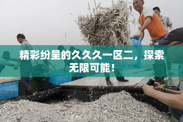 精彩纷呈的久久久一区二，探索无限可能！