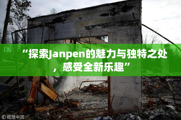 “探索Janpen的魅力与独特之处，感受全新乐趣”