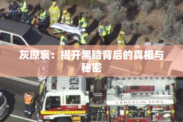 灰原哀：揭开黑暗背后的真相与秘密