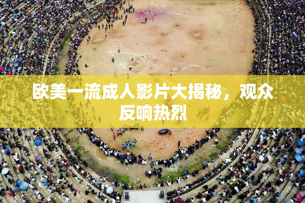 欧美一流成人影片大揭秘，观众反响热烈