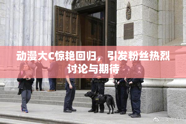 动漫大C惊艳回归，引发粉丝热烈讨论与期待