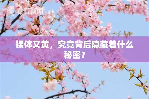 裸体又黄，究竟背后隐藏着什么秘密？