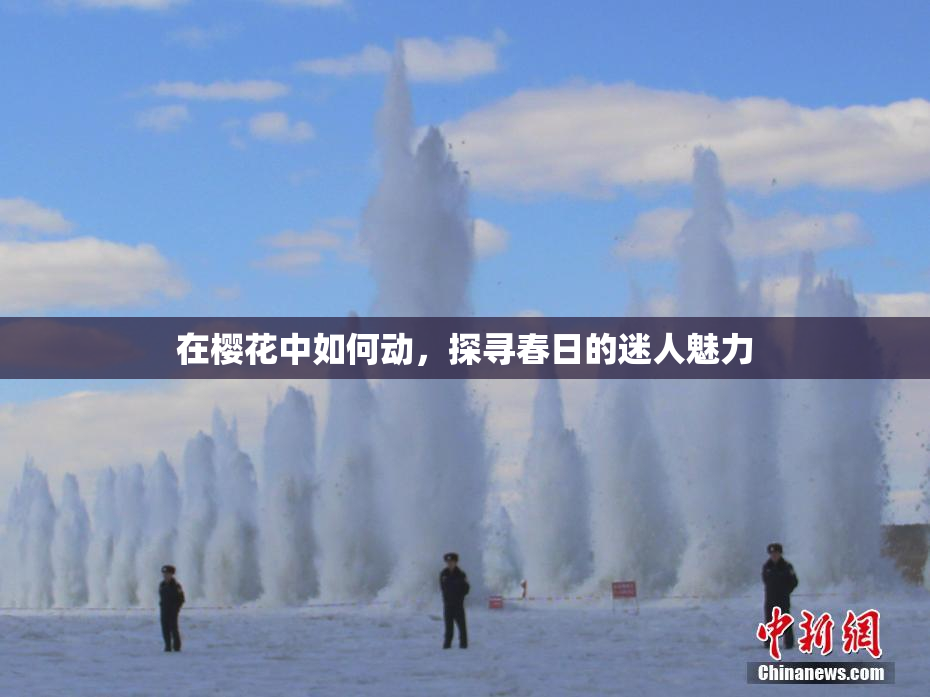 在樱花中如何动，探寻春日的迷人魅力