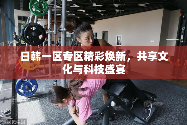 日韩一区专区精彩焕新，共享文化与科技盛宴