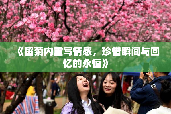 《留菊内重写情感，珍惜瞬间与回忆的永恒》