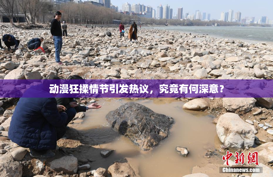 动漫狂揉情节引发热议，究竟有何深意？