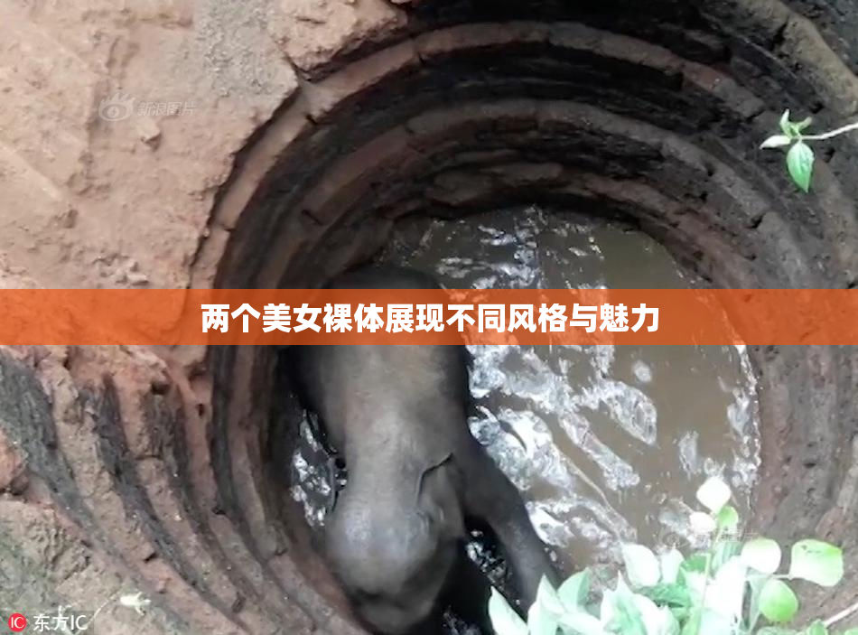 两个美女裸体展现不同风格与魅力