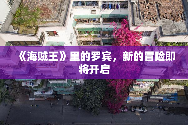 《海贼王》里的罗宾，新的冒险即将开启