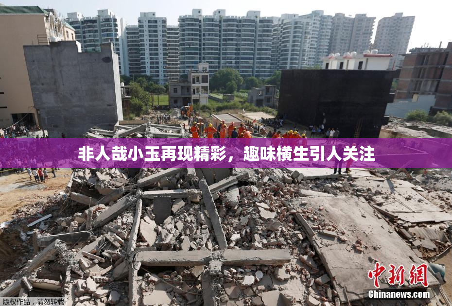 非人哉小玉再现精彩，趣味横生引人关注