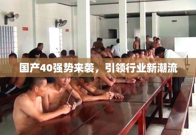 国产40强势来袭，引领行业新潮流
