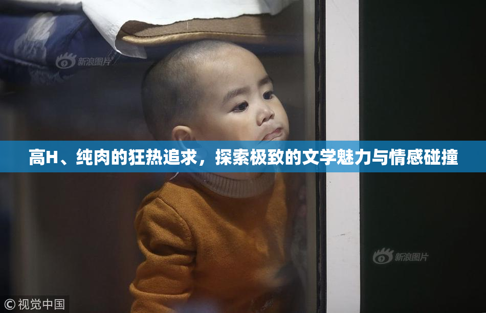 高H、纯肉的狂热追求，探索极致的文学魅力与情感碰撞