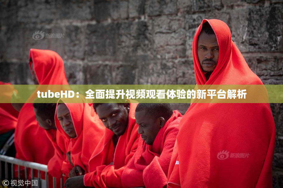 tubeHD：全面提升视频观看体验的新平台解析