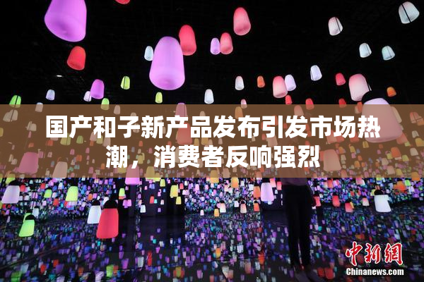 国产和子新产品发布引发市场热潮，消费者反响强烈
