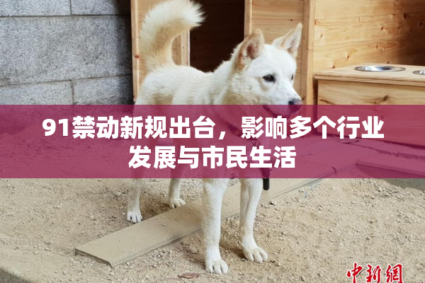 91禁动新规出台，影响多个行业发展与市民生活