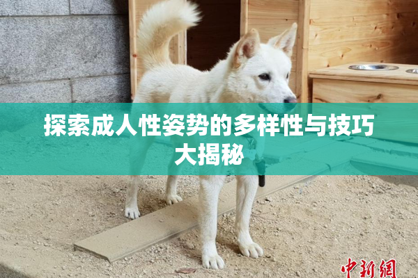 探索成人性姿势的多样性与技巧大揭秘