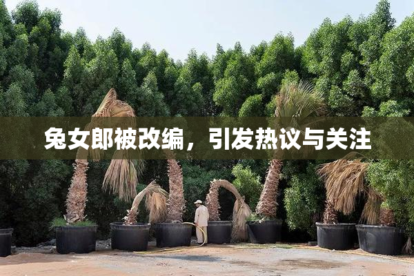 兔女郎被改编，引发热议与关注