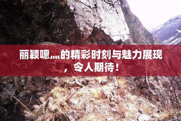 丽颖嗯灬的精彩时刻与魅力展现，令人期待！