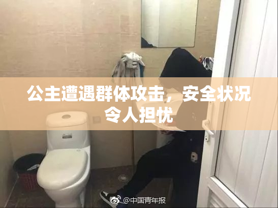 公主遭遇群体攻击，安全状况令人担忧