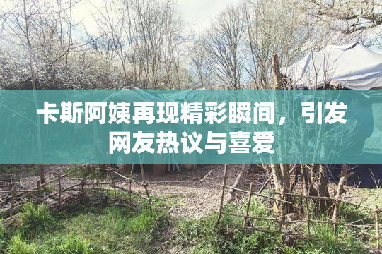 卡斯阿姨再现精彩瞬间，引发网友热议与喜爱