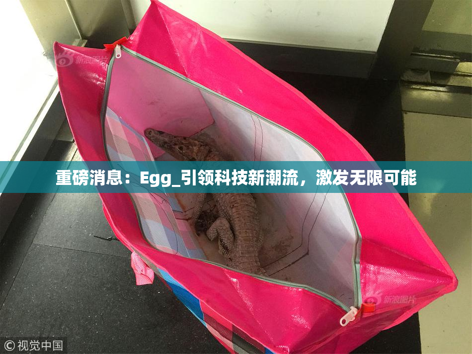 重磅消息：Egg_引领科技新潮流，激发无限可能