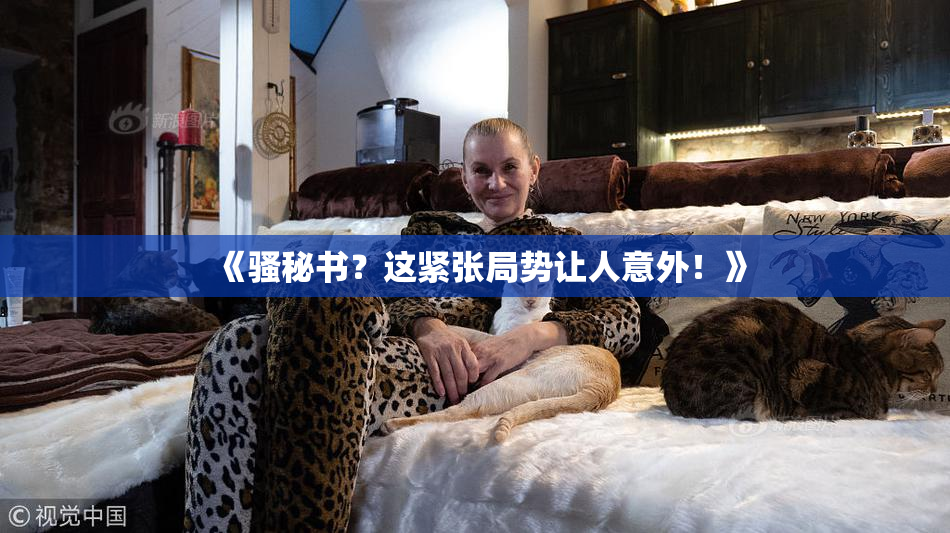 《骚秘书？这紧张局势让人意外！》