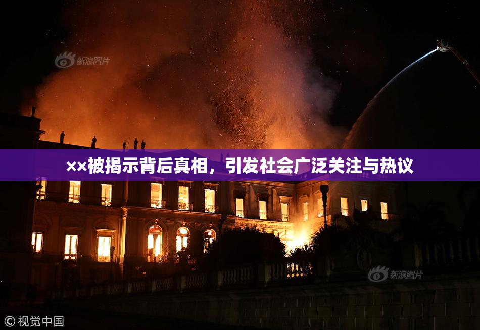 ××被揭示背后真相，引发社会广泛关注与热议