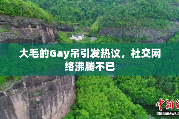 大毛的Gay吊引发热议，社交网络沸腾不已